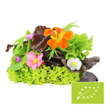 Fresh unwashed BIO lettuce mix (about 0.10 kg)