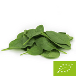 Baby spinach fresh unwashed BIO (about 0,10 kg)