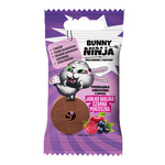 Apple-Raspberry-Blackcurrant Fruit Snack 15 g – Bunny Ninja