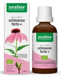 Echinacea forte (echinacea purpurea) drops BIO 50 ml