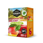Wincenta Orchards 100% apple juice with mango 3L