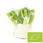 Fresh fennel (fennel) bio (about 0.35 kg)