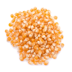 Popcorn grain 25 kg - Tola