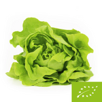 Fresh butter lettuce BIO (Poland) (about 0.20 kg)