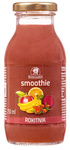 Apple - Banana - Blackcurrant - Beetroot - Sea Buckthorn Smoothie 250 ml – Rembowscy
