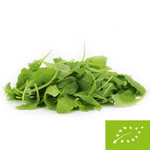 Fresh unwashed arugula BIO (about 0.10 kg)