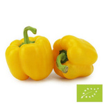 Fresh yellow peppers BIO - about 5 kg