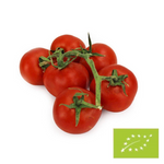 BIO fresh tomatoes on a branch - about 5 kg