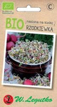 Seeds for sprouts - Radish BIO 10 g