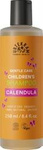Kids' Gentle Organic Shampoo 250 ml – Urtekram