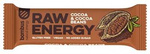 RAW ENERGY Bar with Cacao Nibs, Gluten-Free 50 g – Bombus