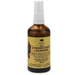 Hedocost oil with heal 100 ml