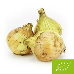 Fresh Yellow Onions Bio (Poland) (Approximately 1.00 Kg)