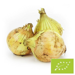 Fresh Yellow Onions Bio (Poland) (Approximately 1.00 Kg)