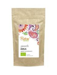 Ayurveda amla fruit powder BIO 100 g