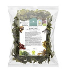 Dried marine algae - wakame BIO 100 g