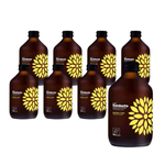 SET 8 x Kombucha Turmeric + Ginger BIO 330 ml