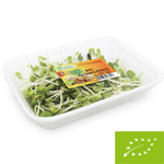 Sunflower sprouts, fresh BIO (about 50 g)