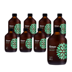 SET 8 x Kombucha Cucumber+Coriander BIO 315 ml