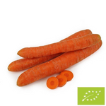 Fresh washed carrots BIO (Poland) (about 0.50 kg)