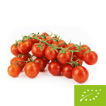 Fresh BIO cherry tomatoes on a branch - about 3 kg