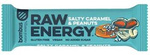 RAW ENERGY Bar, Salted Caramel Peanut, Gluten-Free, 50 g – Bombus