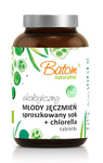 Young barley juice powder + chlorella 500 mg tablets dietary supplement 120 g - Batom