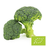 BIO fresh broccoli (about 0.50 kg)