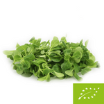 Fresh unwashed lamb's lettuce BIO (about 0.10 kg)