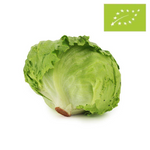 Fresh iceberg lettuce bio (about 0.30 kg)