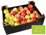 Apples for juice fresh BIO Poland - about 5 kg