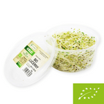 Fresh alfalfa sprouts BIO (about 50 g)