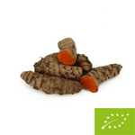 Fresh turmeric BIO - about 2 kg