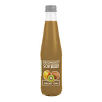 Apple-kiwi juice 100% 330 ml