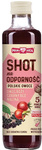 SHOT for immunity "Polish fruits" 250 ml