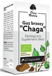 Birch birch tumor chaga BIO 60 capsules (470 mg)