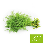 Fresh dill, bunch BIO 1 pcs. (Poland) (approximately 20 g)