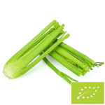 SELER NACIOWY ŚWIEZY BIO (POLAND) (about 0.30 kg)