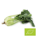 Fresh kohlrabi bio (Polish) (about 0.20 kg)