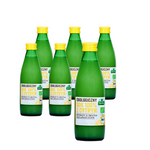 Lemon juice 100% BIO 250 ml