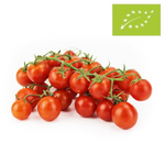 Fresh BIO cherry tomatoes on a branch - about 3 kg