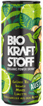 Green Tea - Ginger Refreshing Drink with Lime and Mint Flavor Bio 250 ml - Biokraftstoff